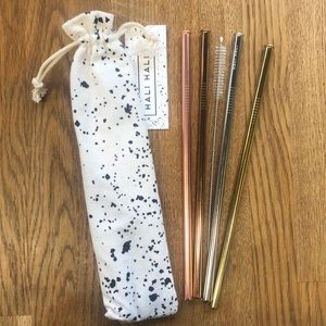Set of 4 metal straws with splatter carrying pouch